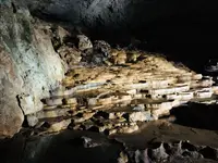 秋芳洞の写真・動画_image_324850