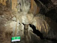 秋芳洞の写真・動画_image_324852