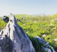 秋吉台の写真・動画_image_324884