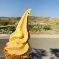 秋吉台の写真・動画_image_324886