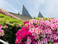 仁摩サンドミュージアムの写真・動画_image_324941