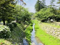 出雲大社の写真・動画_image_324954