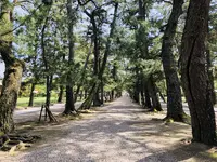 出雲大社の写真・動画_image_324956