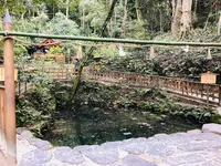 八重垣神社の写真・動画_image_324979