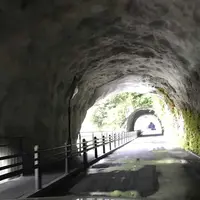 青ノ洞門の写真・動画_image_325073