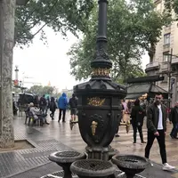 Font de Canaletesの写真・動画_image_325101