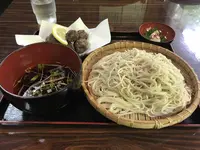 猿橋の写真・動画_image_325159