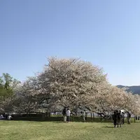 箱根園の写真・動画_image_325168
