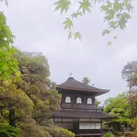 銀閣寺(東山慈照寺)の写真・動画_image_325372