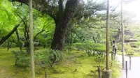 銀閣寺(東山慈照寺)の写真・動画_image_325376