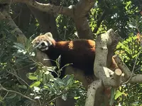 熱川バナナワニ園の写真・動画_image_325532