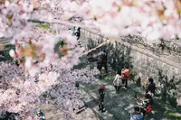 蹴上インクラインの写真・動画_image_325616