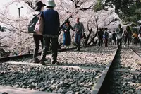 蹴上インクラインの写真・動画_image_325617