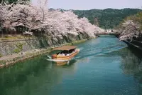 岡崎疏水の写真・動画_image_325624
