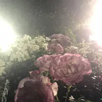 都市緑化植物園の写真・動画_image_325817
