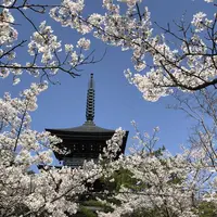 能登大仏の写真・動画_image_325886