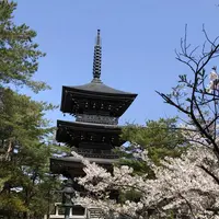 能登大仏の写真・動画_image_325890