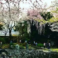 靖國神社の写真・動画_image_326098