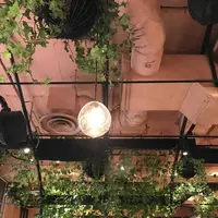 青山フラワーマーケット ティーハウス 南青山本店 （Aoyama Flower Market TEA HOUSE）の写真・動画_image_326144