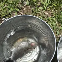 六本木つり堀の写真・動画_image_326421