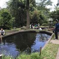 六本木つり堀の写真・動画_image_326425