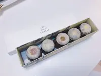 TIRPSEの写真・動画_image_326438