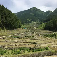 四谷千枚田の写真・動画_image_326461