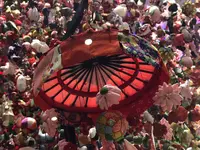 越後湯沢駅の写真・動画_image_326534