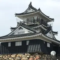 浜松城の写真・動画_image_326571