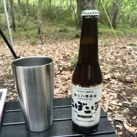 飛騨荘川 一色の森キャンプ場の写真・動画_image_326631