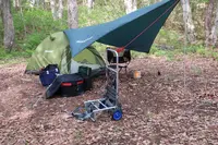 飛騨荘川 一色の森キャンプ場の写真・動画_image_326635