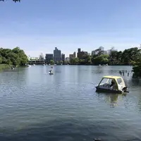 洗足池の写真・動画_image_326817