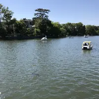 洗足池の写真・動画_image_326818