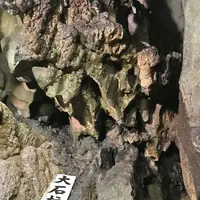 千仏鍾乳洞の写真・動画_image_326908