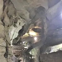 千仏鍾乳洞の写真・動画_image_326910