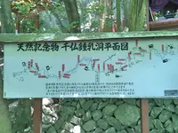 千仏鍾乳洞の写真・動画_image_326911