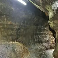千仏鍾乳洞の写真・動画_image_326914