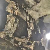 千仏鍾乳洞の写真・動画_image_326916