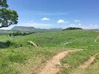 平尾台の写真・動画_image_326924