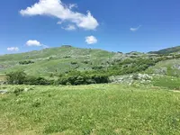 平尾台の写真・動画_image_326926