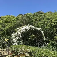 鎌倉文学館の写真・動画_image_327003