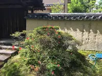 唐招提寺の写真・動画_image_327144