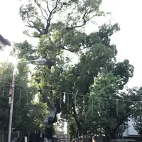 安倍晴明神社の写真・動画_image_327248