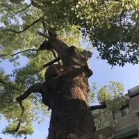 安倍晴明神社の写真・動画_image_327250