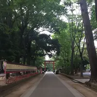 大宮公園の写真・動画_image_327423
