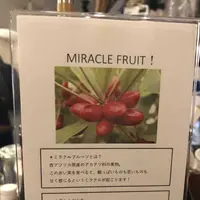 Bubblesの写真・動画_image_327445