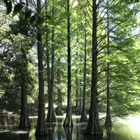 篠栗九大の森の写真・動画_image_327552