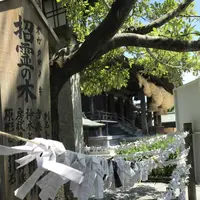 宮地嶽神社の写真・動画_image_327569
