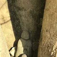 西公園の写真・動画_image_327607