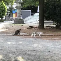 西公園の写真・動画_image_327613